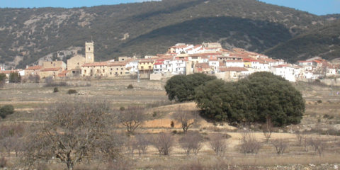 Abejuela