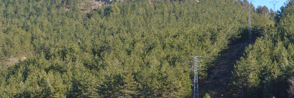 Ermita de Sta. Bárbara