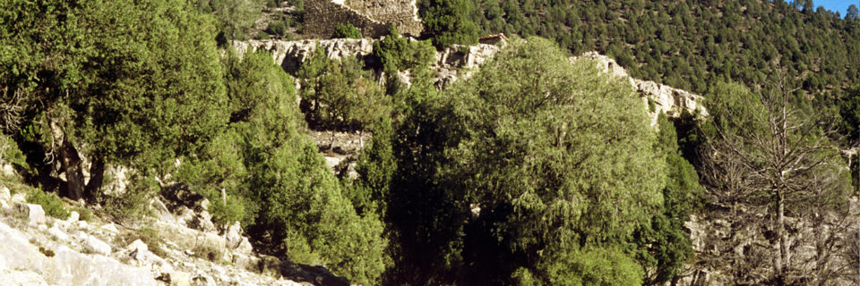 Torre de la Olmedilla